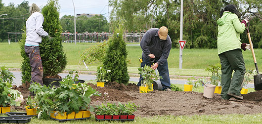 volunteers